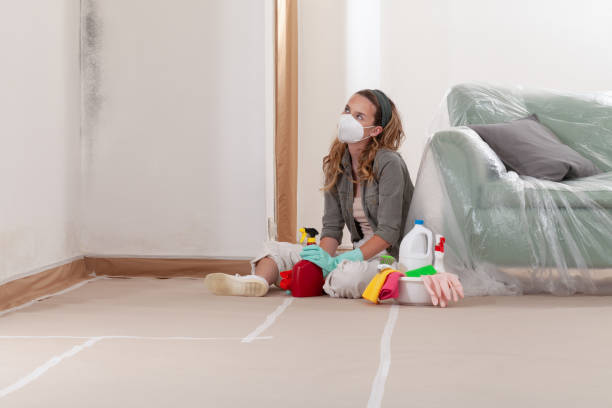 Reliable Mold Inspection And Testing contractor in Stephens City, VA by Mold Remediation HQ